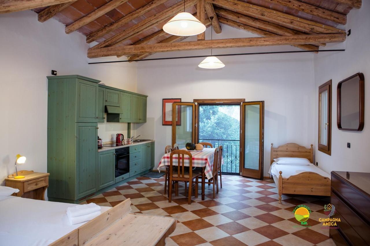 La Via Antiga Apartment Cittanova  Ngoại thất bức ảnh