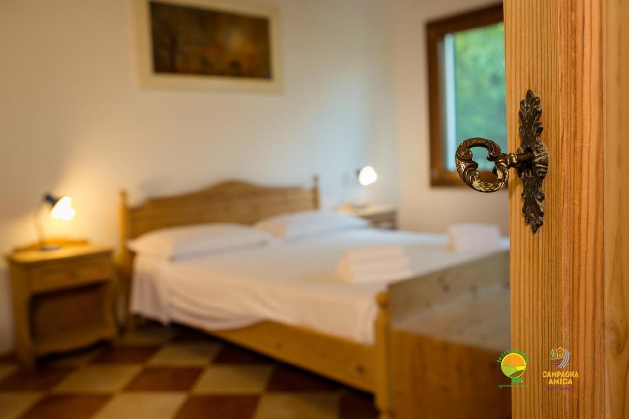 La Via Antiga Apartment Cittanova  Ngoại thất bức ảnh