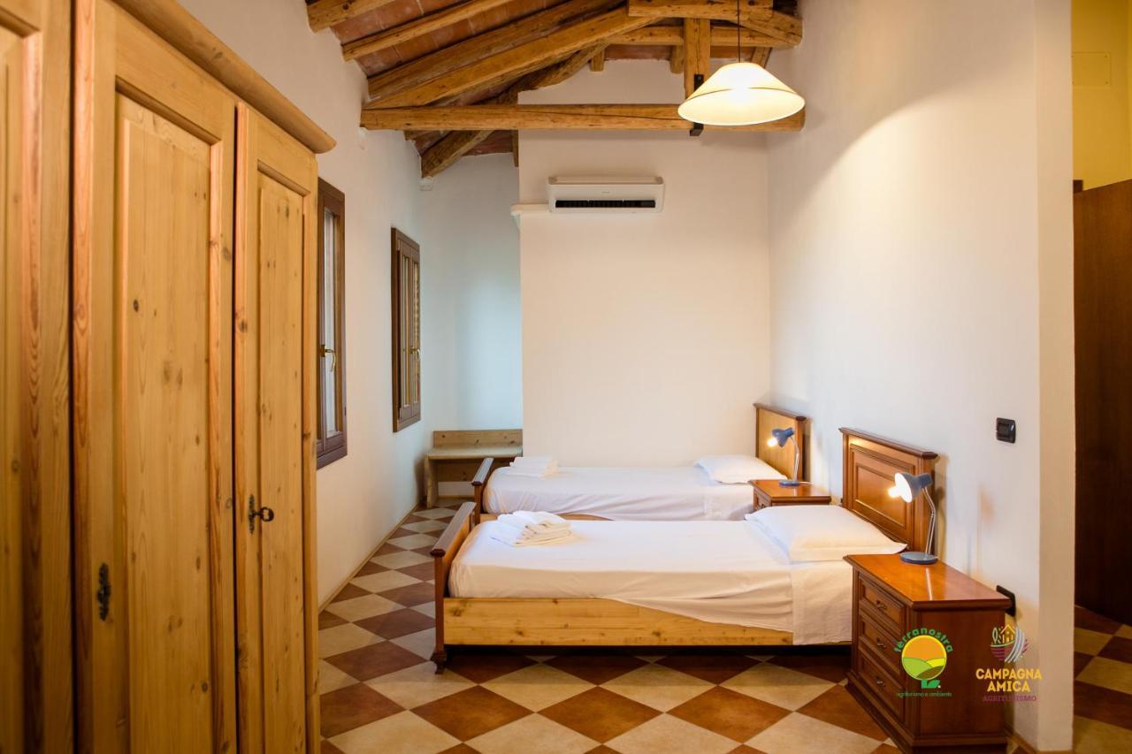 La Via Antiga Apartment Cittanova  Ngoại thất bức ảnh