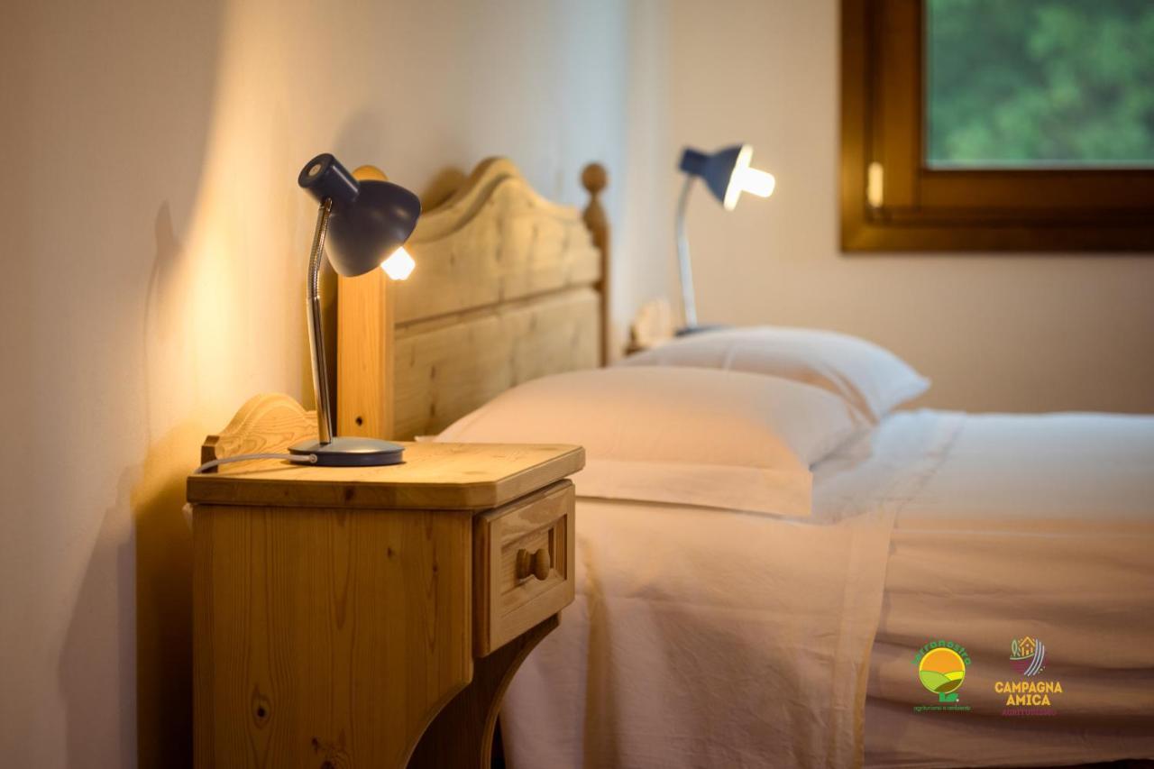 La Via Antiga Apartment Cittanova  Ngoại thất bức ảnh