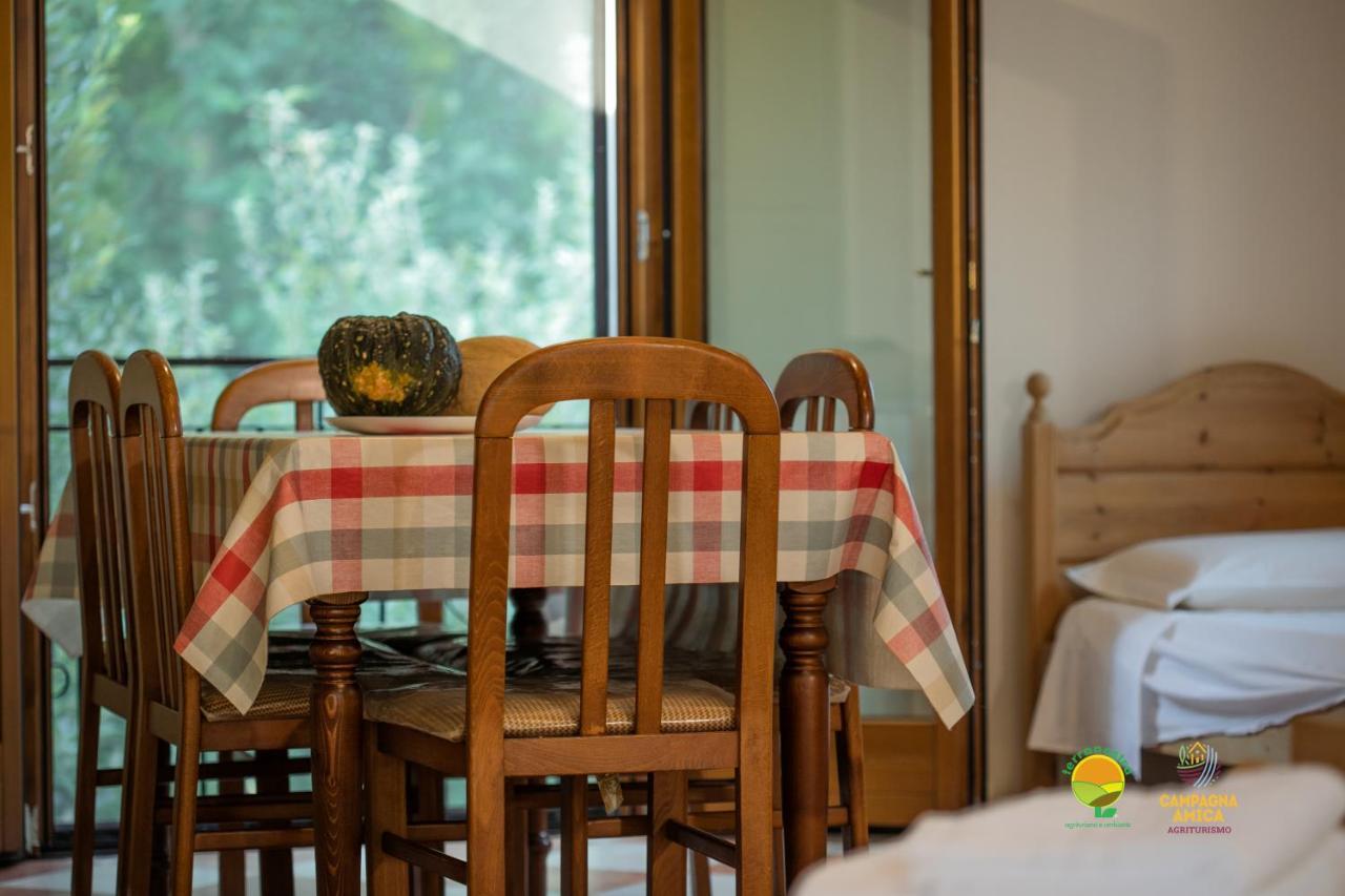 La Via Antiga Apartment Cittanova  Ngoại thất bức ảnh