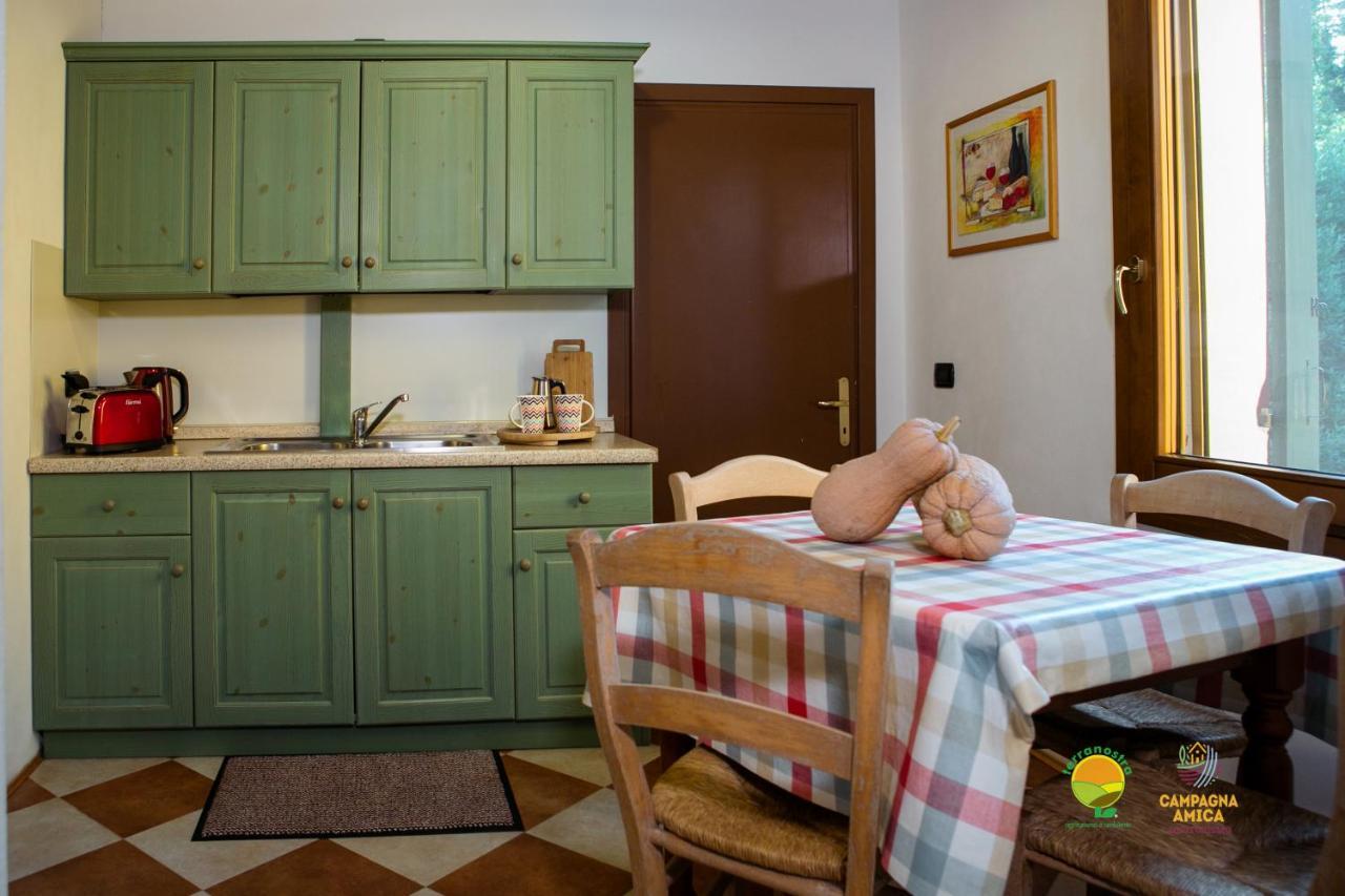 La Via Antiga Apartment Cittanova  Ngoại thất bức ảnh
