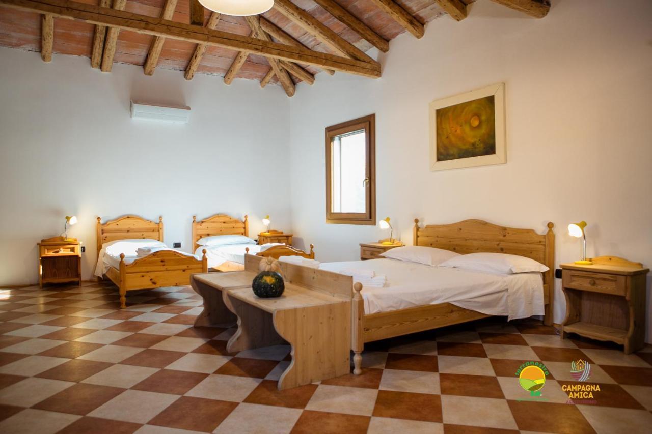 La Via Antiga Apartment Cittanova  Ngoại thất bức ảnh