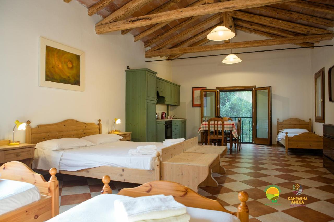La Via Antiga Apartment Cittanova  Ngoại thất bức ảnh